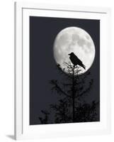 Silhouette of Hooded Crow (Corvus Cornix) Against Full Moon, Helsinki, Finland, December-Markus Varesvuo-Framed Photographic Print