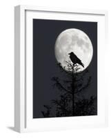 Silhouette of Hooded Crow (Corvus Cornix) Against Full Moon, Helsinki, Finland, December-Markus Varesvuo-Framed Photographic Print