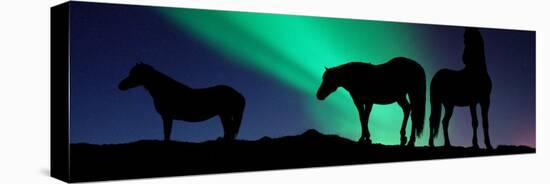 Silhouette of Horses at Dusk, Iceland-null-Stretched Canvas
