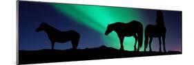 Silhouette of Horses at Dusk, Iceland-null-Mounted Photographic Print