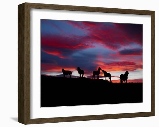 Silhouette of Horses at Night, Iceland-null-Framed Photographic Print