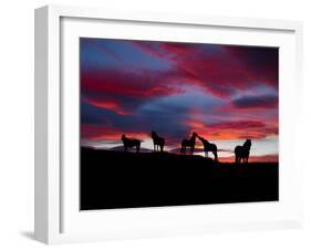 Silhouette of Horses at Night, Iceland-null-Framed Photographic Print