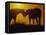 Silhouette of Horses at Sunset-Jerry Koontz-Framed Stretched Canvas