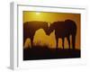 Silhouette of Horses at Sunset-Jerry Koontz-Framed Premium Photographic Print