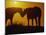 Silhouette of Horses at Sunset-Jerry Koontz-Mounted Premium Photographic Print