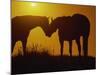 Silhouette of Horses at Sunset-Jerry Koontz-Mounted Photographic Print