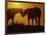 Silhouette of Horses at Sunset-Jerry Koontz-Framed Photographic Print