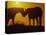 Silhouette of Horses at Sunset-Jerry Koontz-Stretched Canvas