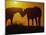 Silhouette of Horses at Sunset-Jerry Koontz-Mounted Photographic Print