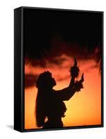 Silhouette of Hula Dancer on Waikiki Beach at Sunset, Waikiki, U.S.A.-Ann Cecil-Framed Stretched Canvas