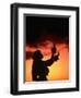 Silhouette of Hula Dancer on Waikiki Beach at Sunset, Waikiki, U.S.A.-Ann Cecil-Framed Photographic Print