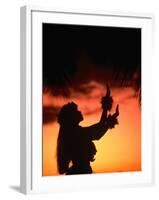 Silhouette of Hula Dancer on Waikiki Beach at Sunset, Waikiki, U.S.A.-Ann Cecil-Framed Photographic Print