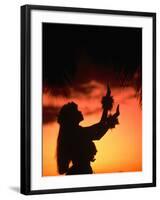 Silhouette of Hula Dancer on Waikiki Beach at Sunset, Waikiki, U.S.A.-Ann Cecil-Framed Photographic Print