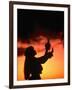 Silhouette of Hula Dancer on Waikiki Beach at Sunset, Waikiki, U.S.A.-Ann Cecil-Framed Photographic Print