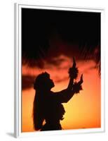 Silhouette of Hula Dancer on Waikiki Beach at Sunset, Waikiki, U.S.A.-Ann Cecil-Framed Photographic Print