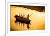 Silhouette of Indian Gondolier During the Flower Holi Festival, Vrindavan, Uttar Pradesh-Laura Grier-Framed Photographic Print