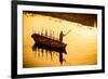 Silhouette of Indian Gondolier During the Flower Holi Festival, Vrindavan, Uttar Pradesh-Laura Grier-Framed Photographic Print