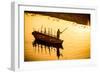 Silhouette of Indian Gondolier During the Flower Holi Festival, Vrindavan, Uttar Pradesh-Laura Grier-Framed Photographic Print