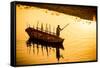 Silhouette of Indian Gondolier During the Flower Holi Festival, Vrindavan, Uttar Pradesh-Laura Grier-Framed Stretched Canvas