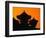 Silhouette of Japanese Temple-Charles O'Rear-Framed Photographic Print