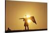 Silhouette of Kite Flier-null-Stretched Canvas