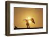 Silhouette of Kite Flier-null-Framed Photographic Print