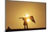 Silhouette of Kite Flier-null-Mounted Photographic Print