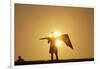 Silhouette of Kite Flier-null-Framed Photographic Print