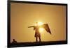 Silhouette of Kite Flier-null-Framed Photographic Print