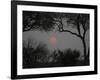 Silhouette of Leadwood Trees at Dusk, Linyanti Concession, Ngamiland, Botswana-null-Framed Photographic Print