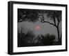 Silhouette of Leadwood Trees at Dusk, Linyanti Concession, Ngamiland, Botswana-null-Framed Photographic Print