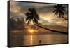 Silhouette of leaning palm trees and a woman at sunrise on Taveuni Island, Fiji, Pacific-Don Mammoser-Framed Stretched Canvas