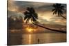 Silhouette of leaning palm trees and a woman at sunrise on Taveuni Island, Fiji, Pacific-Don Mammoser-Stretched Canvas