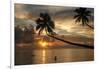 Silhouette of leaning palm trees and a woman at sunrise on Taveuni Island, Fiji, Pacific-Don Mammoser-Framed Premium Photographic Print