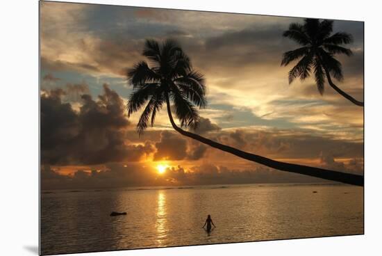 Silhouette of leaning palm trees and a woman at sunrise on Taveuni Island, Fiji, Pacific-Don Mammoser-Mounted Premium Photographic Print