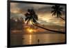 Silhouette of leaning palm trees and a woman at sunrise on Taveuni Island, Fiji, Pacific-Don Mammoser-Framed Premium Photographic Print