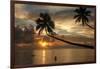 Silhouette of leaning palm trees and a woman at sunrise on Taveuni Island, Fiji, Pacific-Don Mammoser-Framed Photographic Print