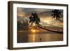 Silhouette of leaning palm trees and a woman at sunrise on Taveuni Island, Fiji, Pacific-Don Mammoser-Framed Photographic Print