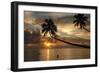 Silhouette of leaning palm trees and a woman at sunrise on Taveuni Island, Fiji, Pacific-Don Mammoser-Framed Photographic Print