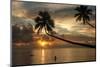 Silhouette of leaning palm trees and a woman at sunrise on Taveuni Island, Fiji, Pacific-Don Mammoser-Mounted Photographic Print