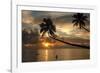 Silhouette of leaning palm trees and a woman at sunrise on Taveuni Island, Fiji, Pacific-Don Mammoser-Framed Photographic Print