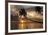 Silhouette of leaning palm trees and a woman at sunrise on Taveuni Island, Fiji, Pacific-Don Mammoser-Framed Photographic Print