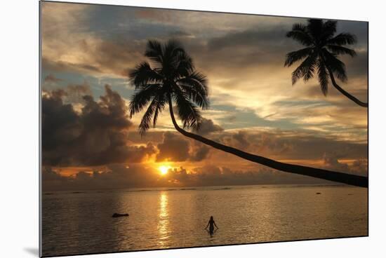 Silhouette of leaning palm trees and a woman at sunrise on Taveuni Island, Fiji, Pacific-Don Mammoser-Mounted Photographic Print