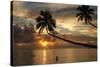 Silhouette of leaning palm trees and a woman at sunrise on Taveuni Island, Fiji, Pacific-Don Mammoser-Stretched Canvas