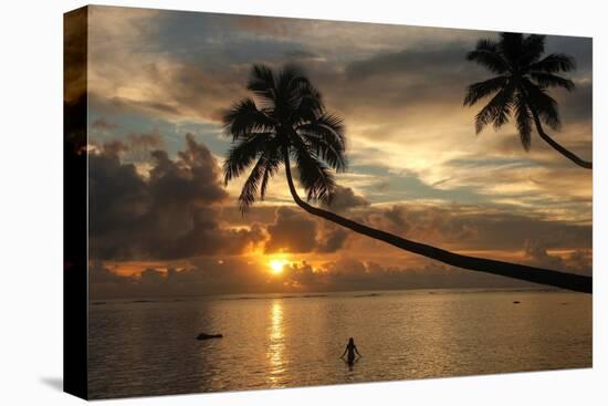 Silhouette of leaning palm trees and a woman at sunrise on Taveuni Island, Fiji, Pacific-Don Mammoser-Stretched Canvas