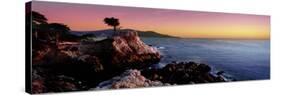 Silhouette of Lone Cypress Tree at a Coast, 17-Mile Drive, Carmel, Monterey County, California, USA-null-Stretched Canvas