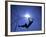 Silhouette of Male Pole Vaulter-Steven Sutton-Framed Photographic Print