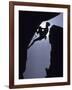 Silhouette of Male Rock Climber-null-Framed Photographic Print