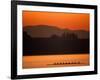 Silhouette of Men's Eights Rowing Team in Action, Vancouver Lake, Washington, USA-null-Framed Photographic Print