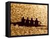 Silhouette of Men's Fours Rowing Team in Action, Atlanta, Georgia, USA-null-Framed Stretched Canvas